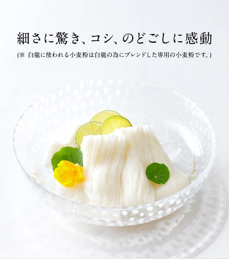 白龍 | 三輪山本 手延べそうめん公式オンラインショップ