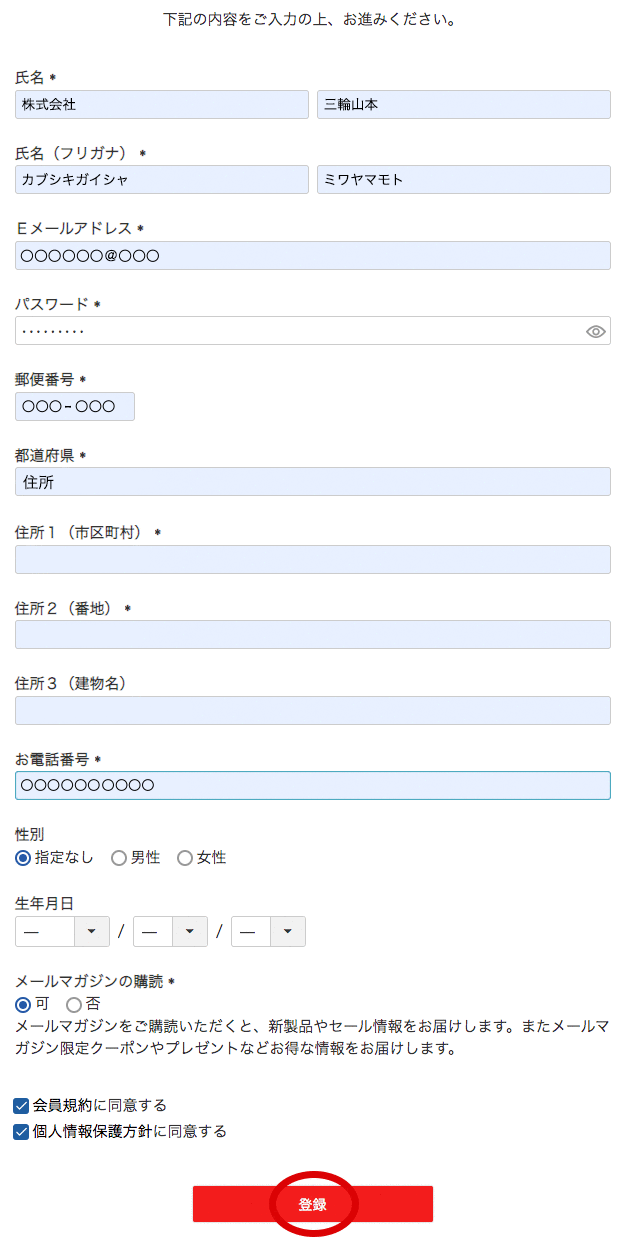 以下の通りに入力してください