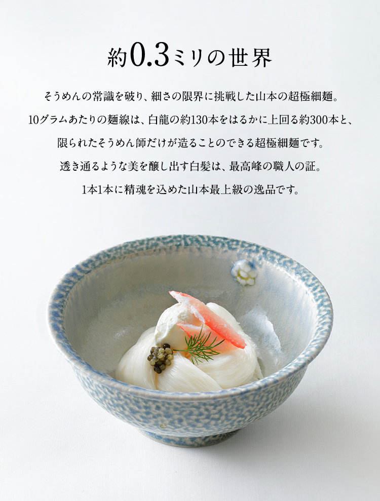 白髪 (R-5S)【のし・包装不可】 | 三輪山本 手延べそうめん公式