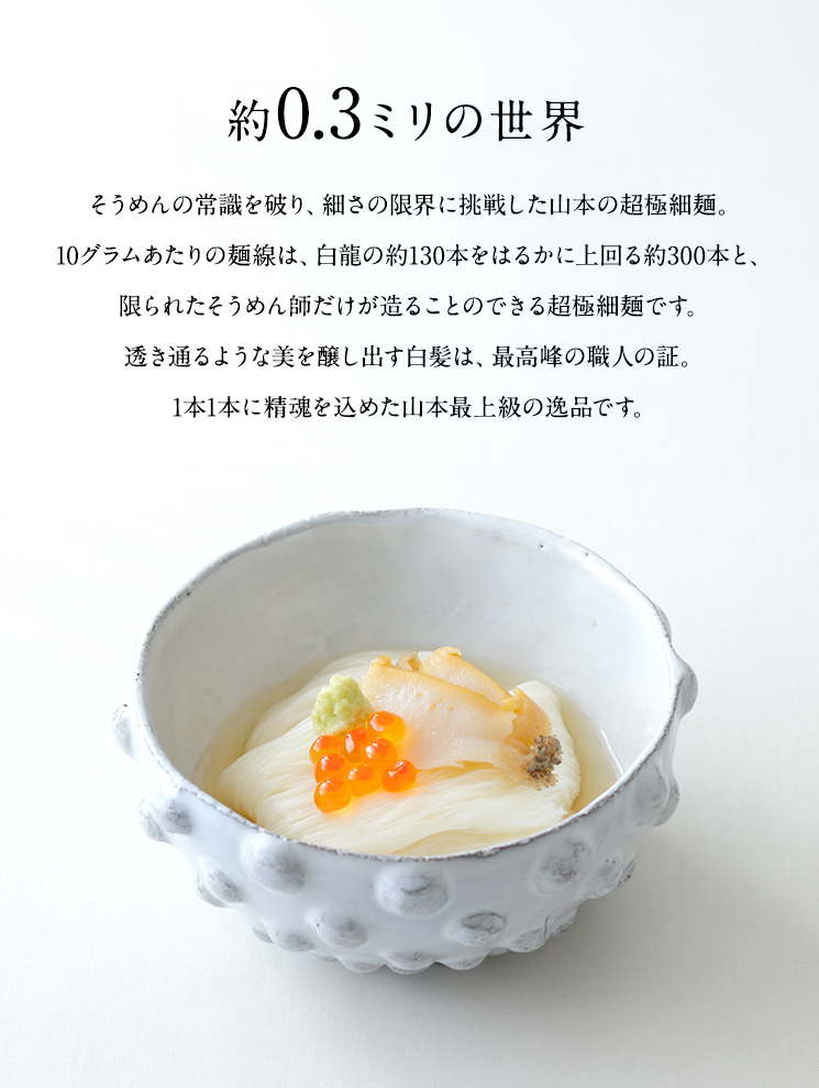銘品 白髪 | 三輪山本 手延べそうめん公式オンラインショップ